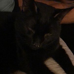 Meet your Posher, Patricia